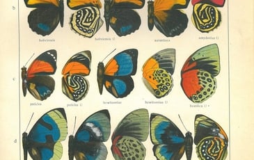 D'un lieu à l'autre : Le livre en partage