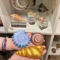 Atelier “Mon coquillage coloré”