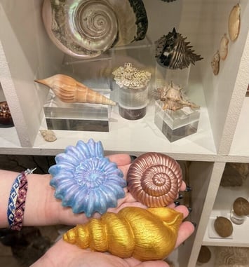 Atelier “Mon coquillage coloré”