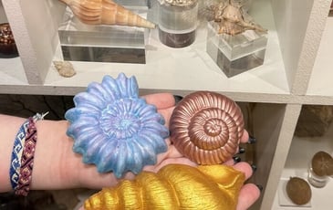 Atelier “Mon coquillage coloré”
