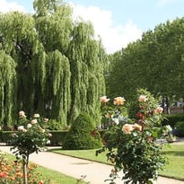 Au cœur du patrimoine naturel