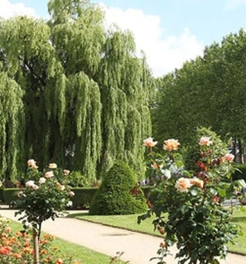 Au cœur du patrimoine naturel