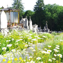 Visite guidée à Laon : Le cimetière Saint-Just
