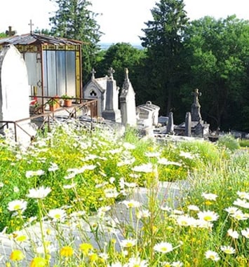 Visite guidée à Laon : Le cimetière Saint-Just