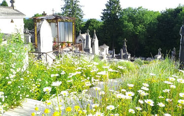 Visite guidée à Laon : Le cimetière Saint-Just