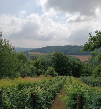 Le parcours du vigneron à Acy