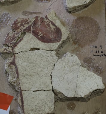 Un centre dédié aux décors romains, unique en Europe : Centre d'études des Peintures murales romaines