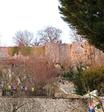 Visite du jardin Jacopin