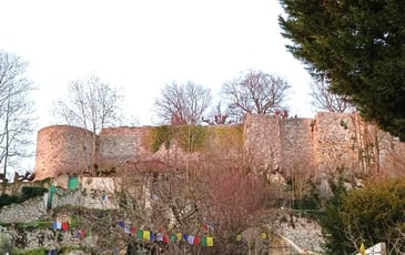 Visite du jardin Jacopin