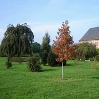 Visite guidée du château et du parc