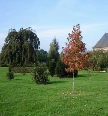 Visite guidée du château et du parc