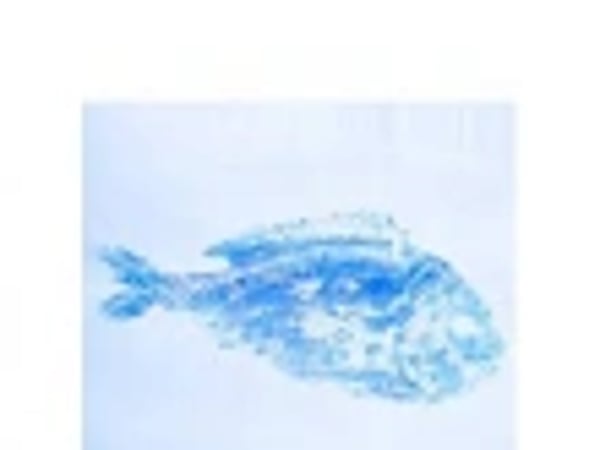 Les Deuils clandestins ou la Langouste bleue