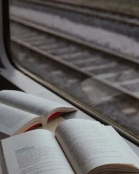Les écritures du voyage