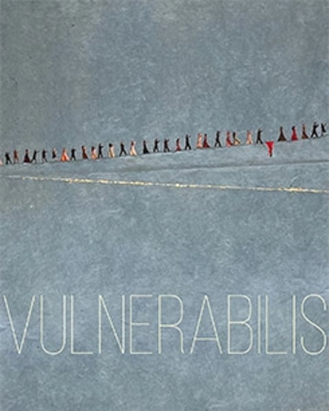 Vulnerabilis